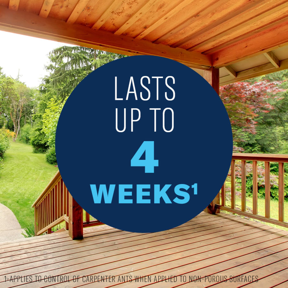 BioAdvanced termite and carpenter ant spray protects wooden structures.