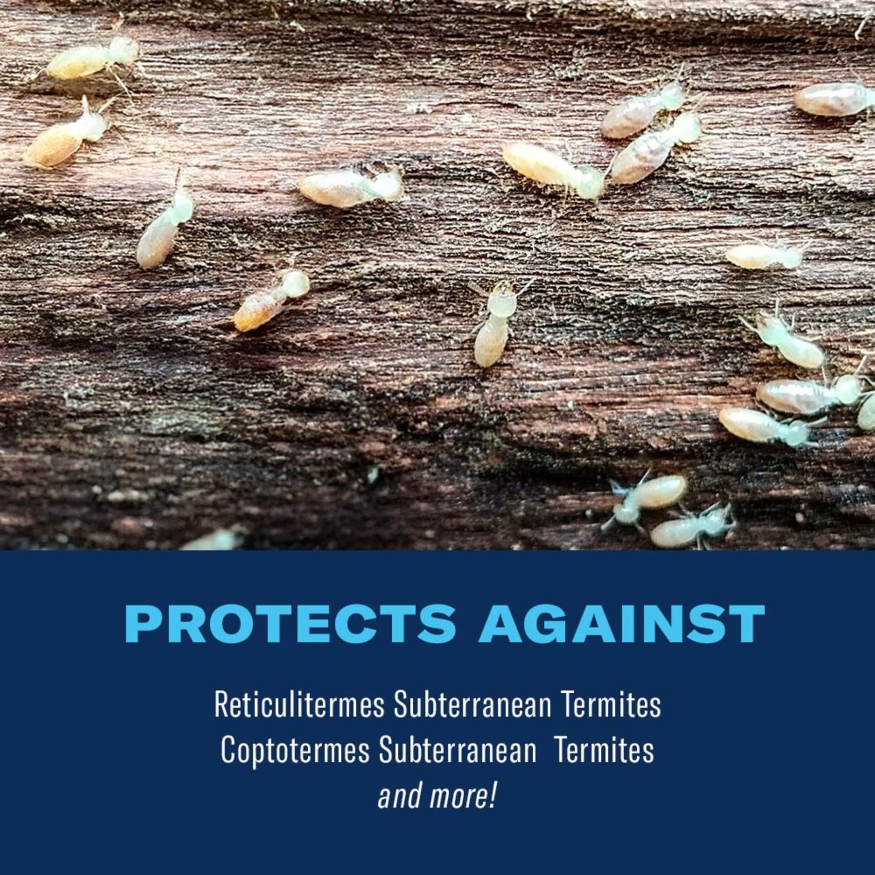 Perimeter coverage with BioAdvanced granules to support outdoor termite defense.