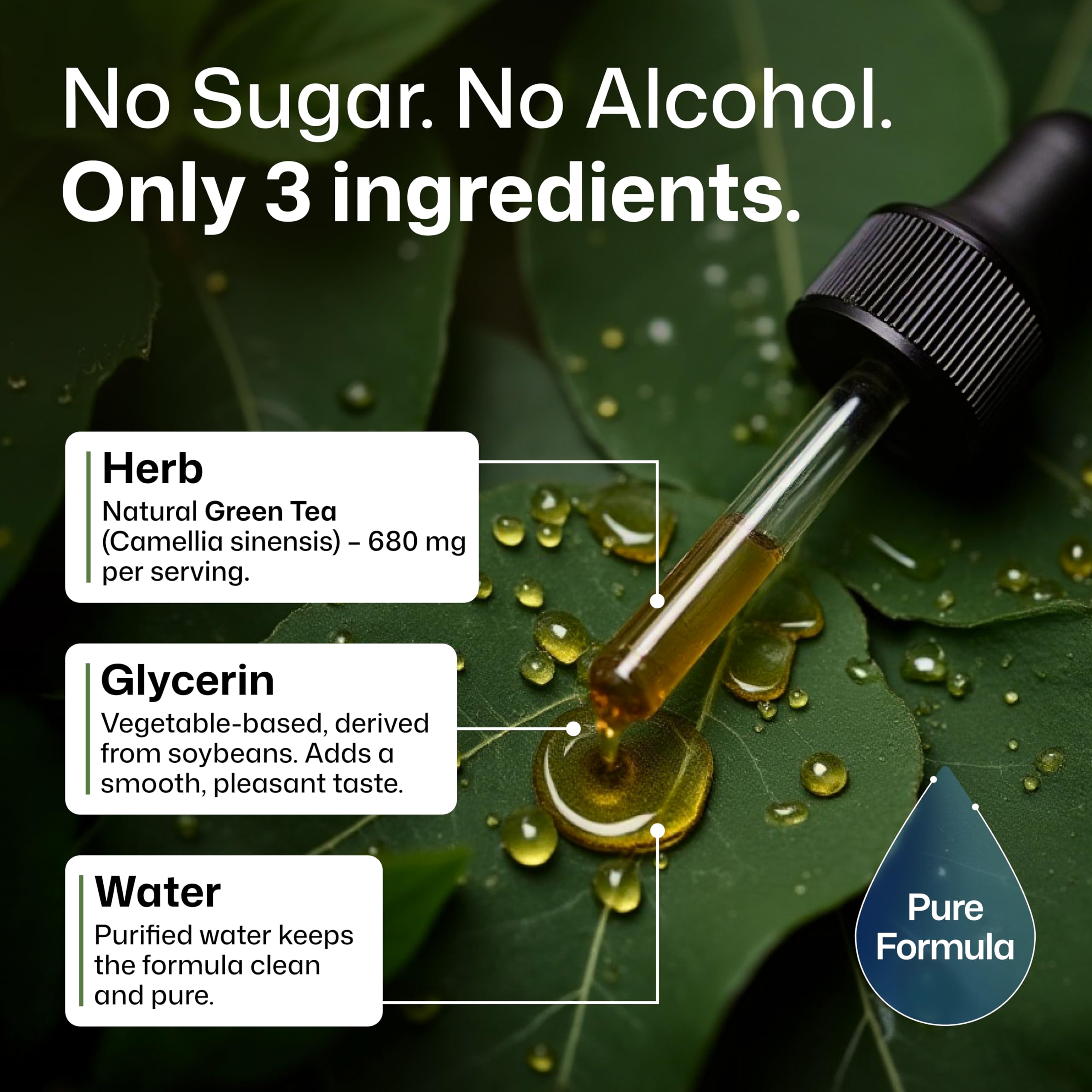 BIO KRAUTER Green Tea Extract three-ingredient formula water glycerin decaffeinated tea