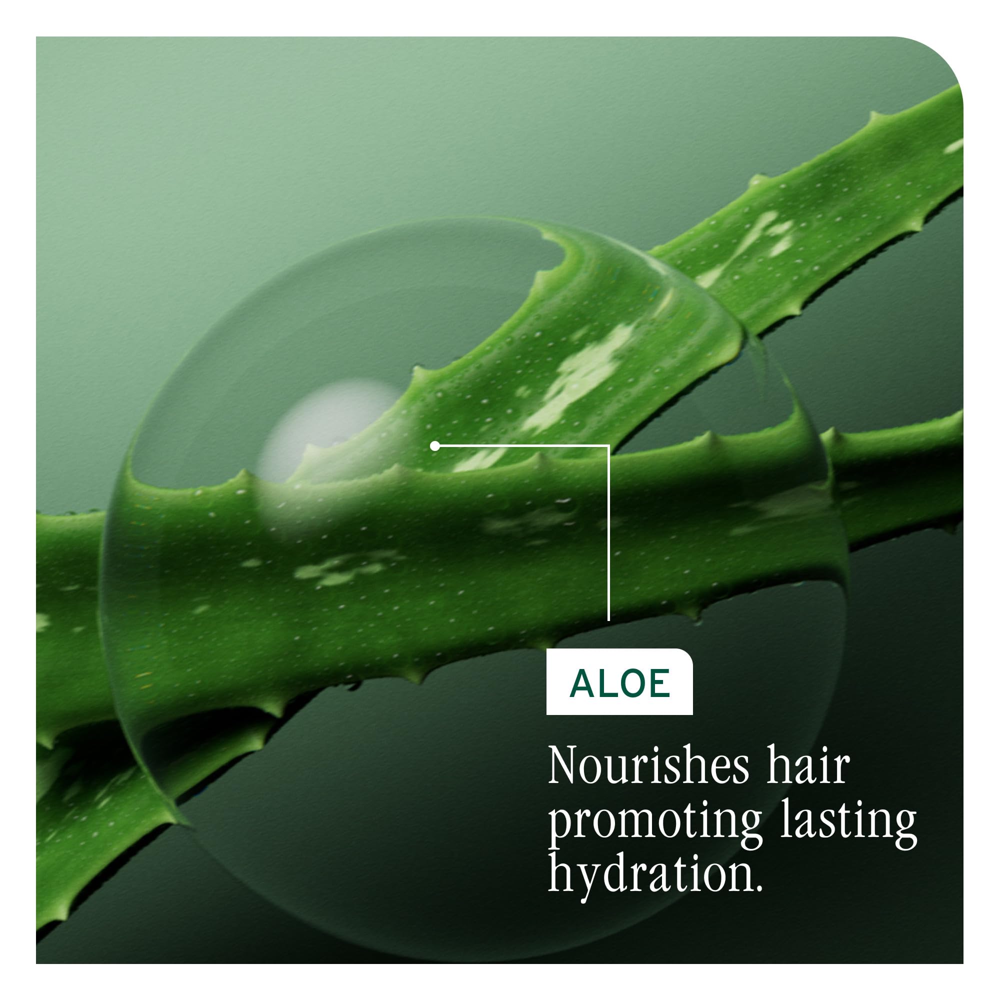 Silicone-free claim highlighted on Biolage Hydra Source Conditioning Balm packaging