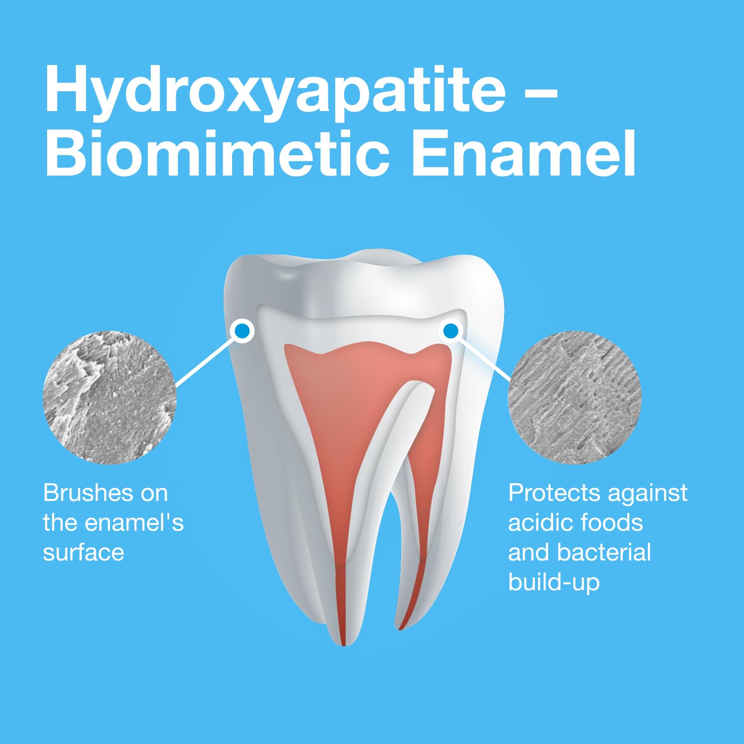 Bioniq Plus+ Gum Formula ingredients lactoferrin image showcases gum-friendly minerals
