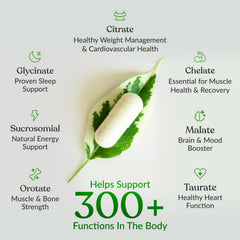 Pouring two capsules from BIOptimizers Magnesium Breakthrough bottle for evening routine