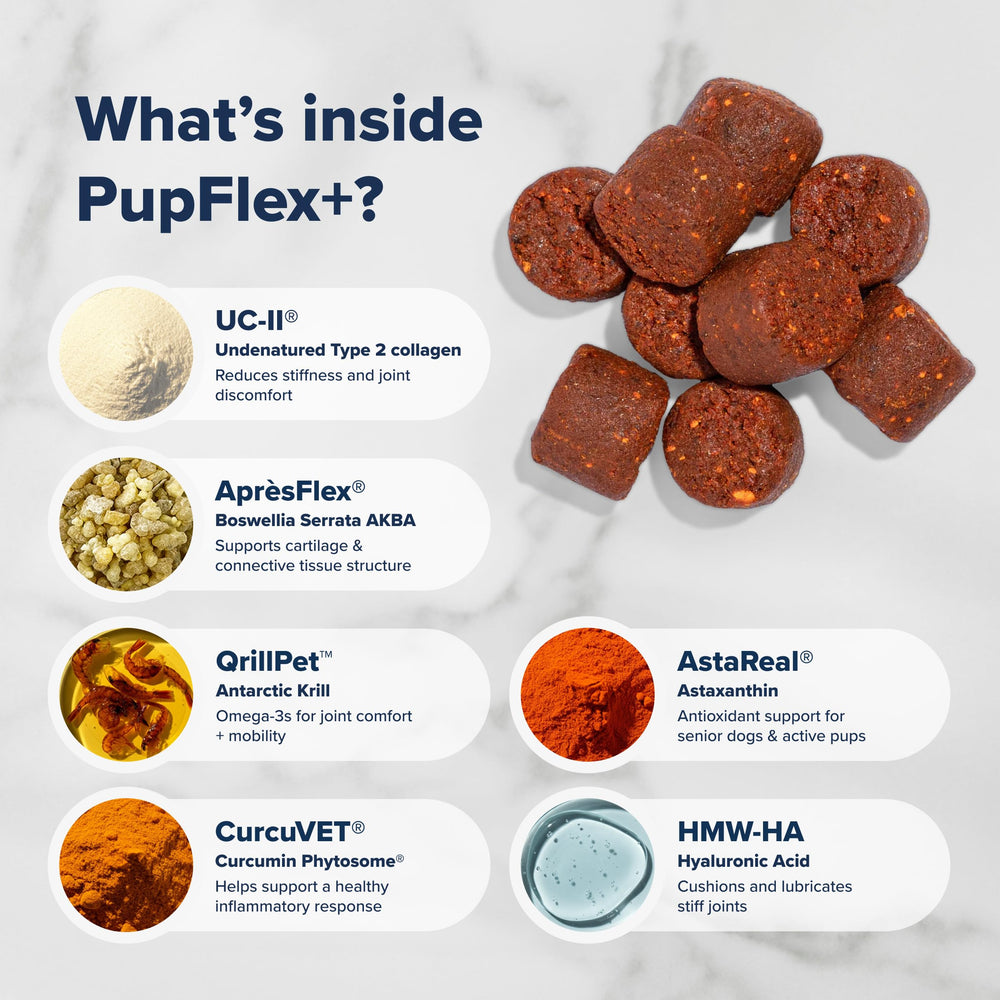AprèsFlex botanical blend closeup in BioPup PupFlex+.