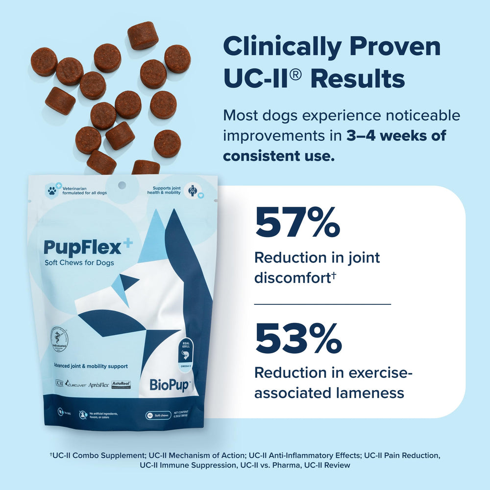 CurcuVET ingredient closeup in BioPup PupFlex+ joint support.