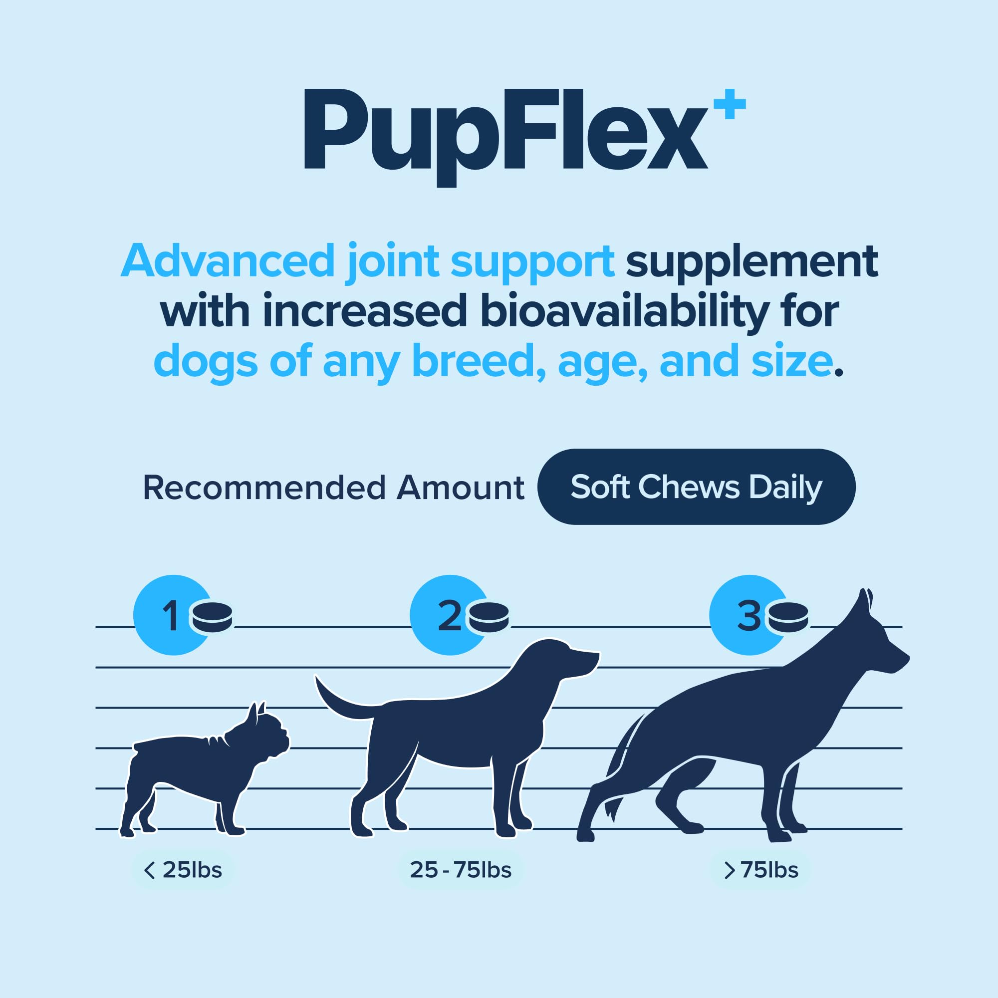 Senior dog enjoying outdoor activity while taking PupFlex+.