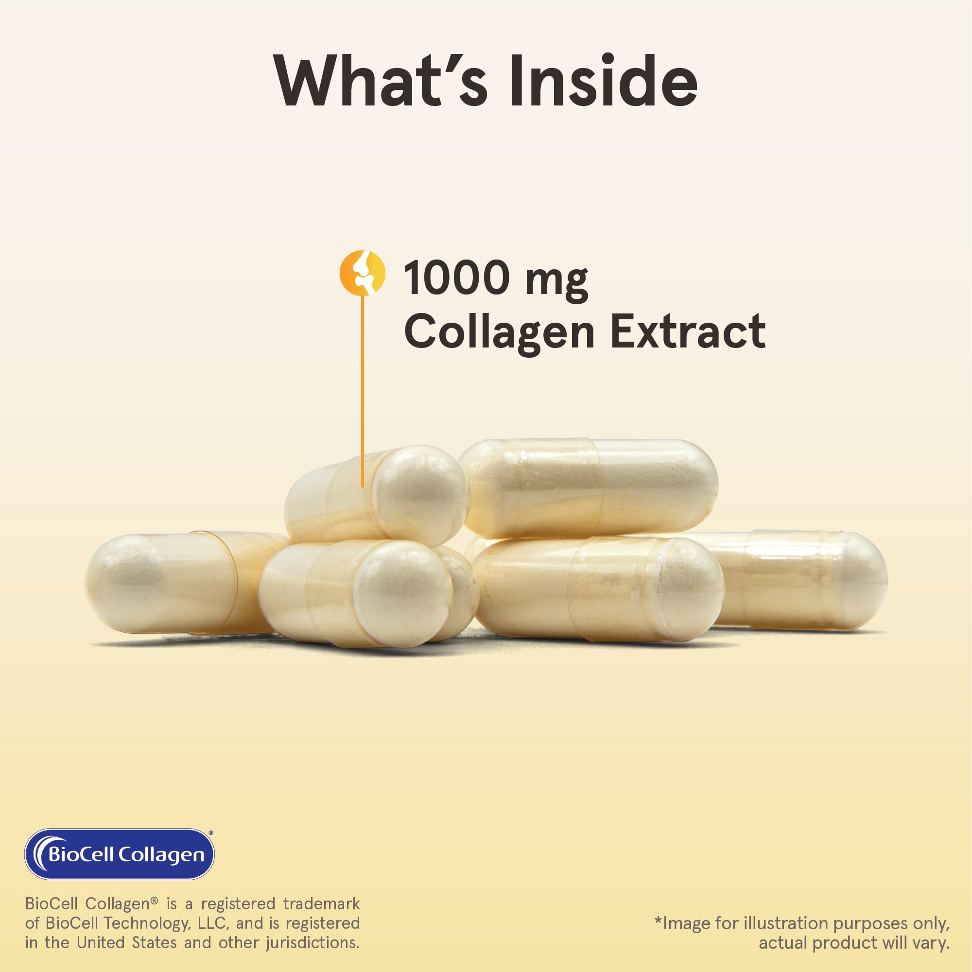 BioCell Collagen low molecular weight illustration emphasizing absorption.