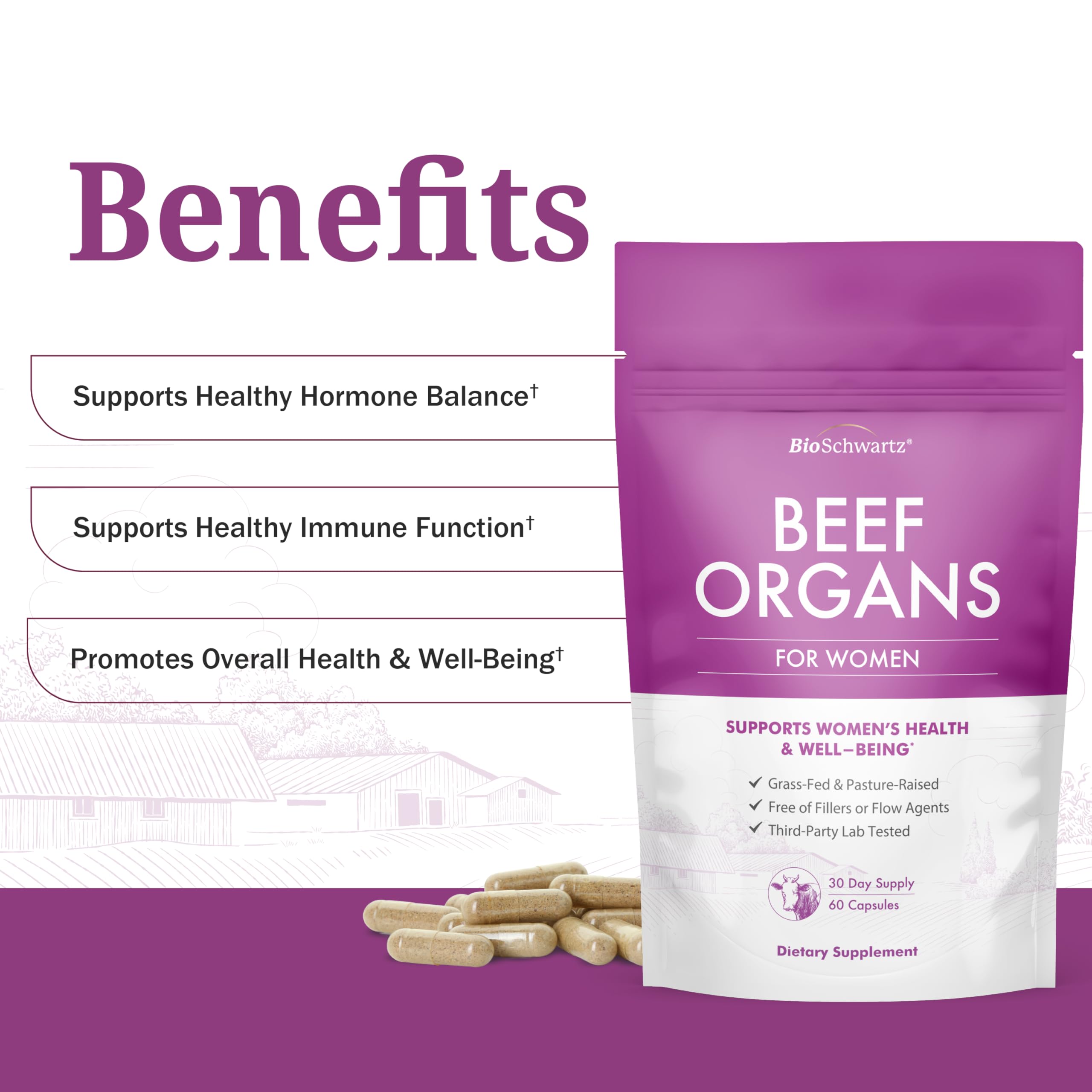 BioSchwartz Primal bovine kidney powder nutrient-dense addition