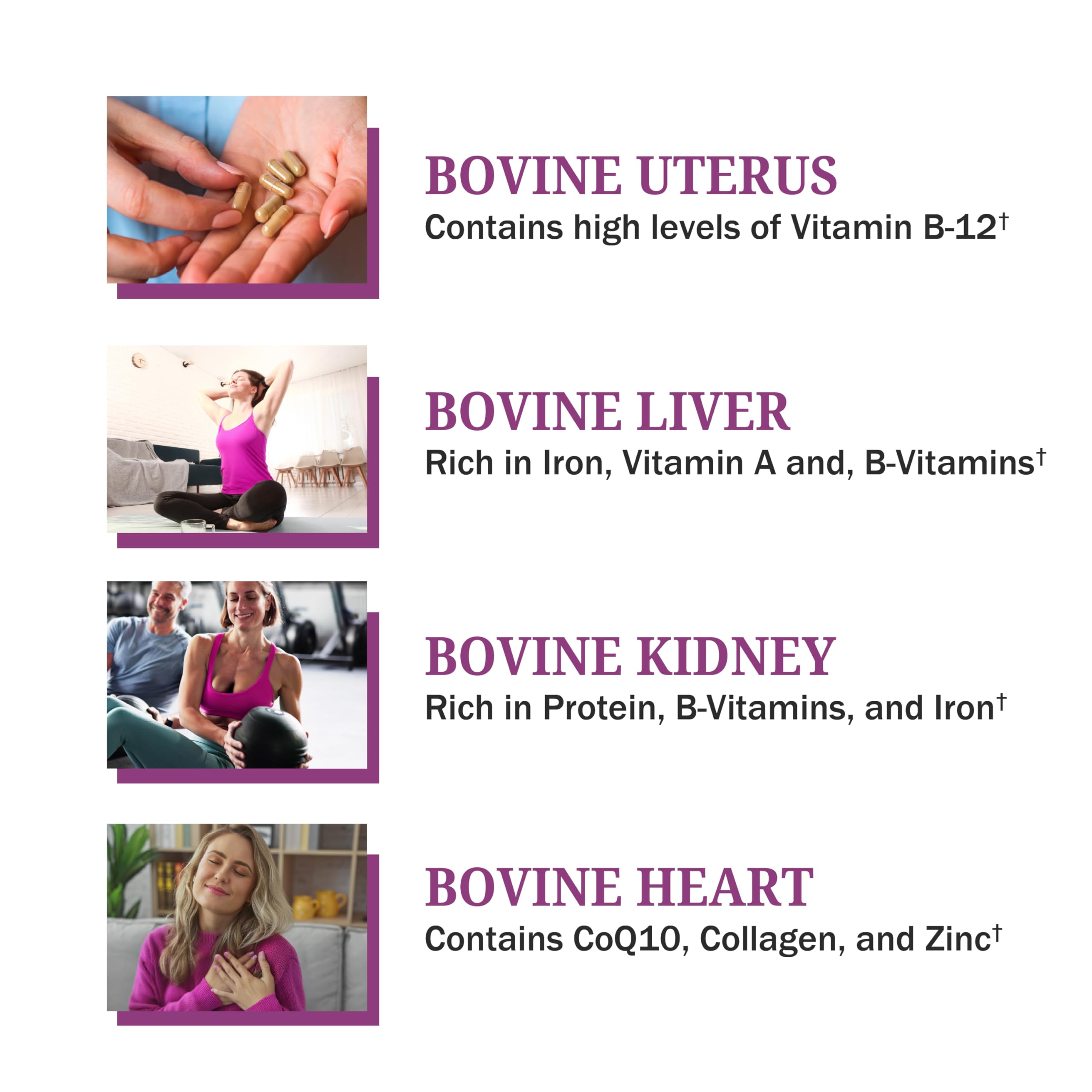 BioSchwartz Primal uterus powder traditional organ-derived nourishment