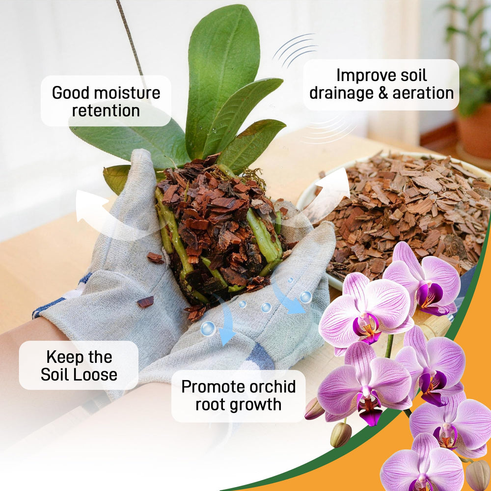 Biotolot potting setup with orchid bark mulch for healthy plant growth