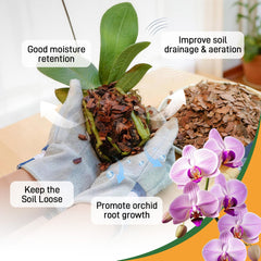 Biotolot potting setup with orchid bark mulch for healthy plant growth
