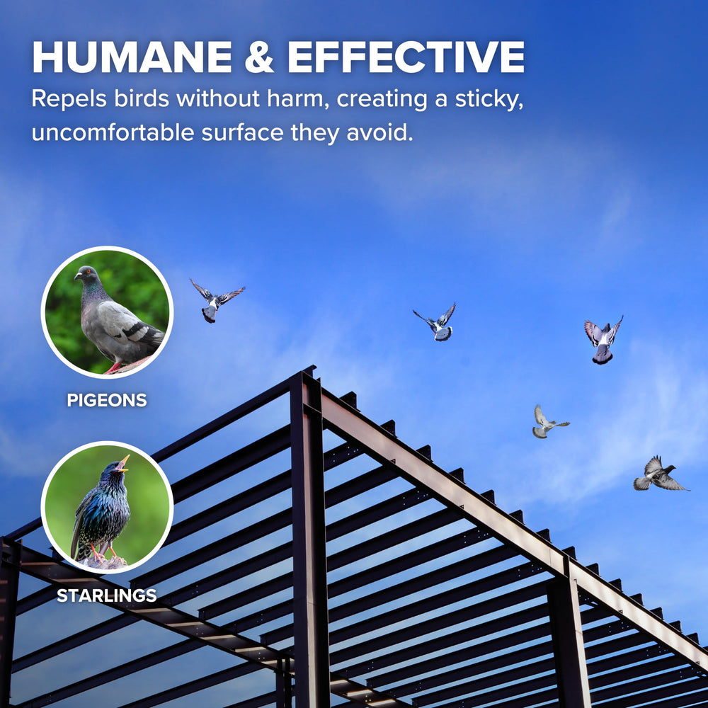 Bird B Gone solution humaine et efficace: prévention sans danger pour l’espace extérieur