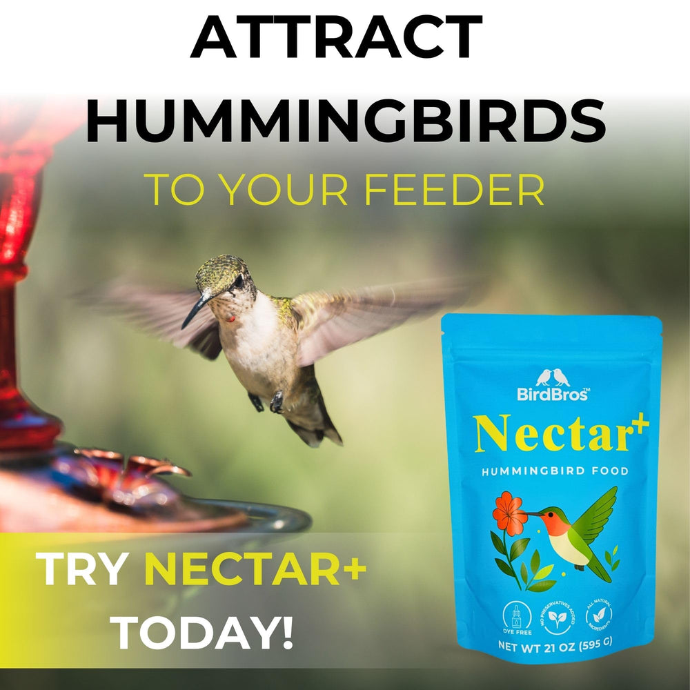 BirdBros nectar powder close-up highlighting fine granules