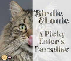 Birdie & Louie Tuna and Pineapple can, palatable seafood mix for hydration