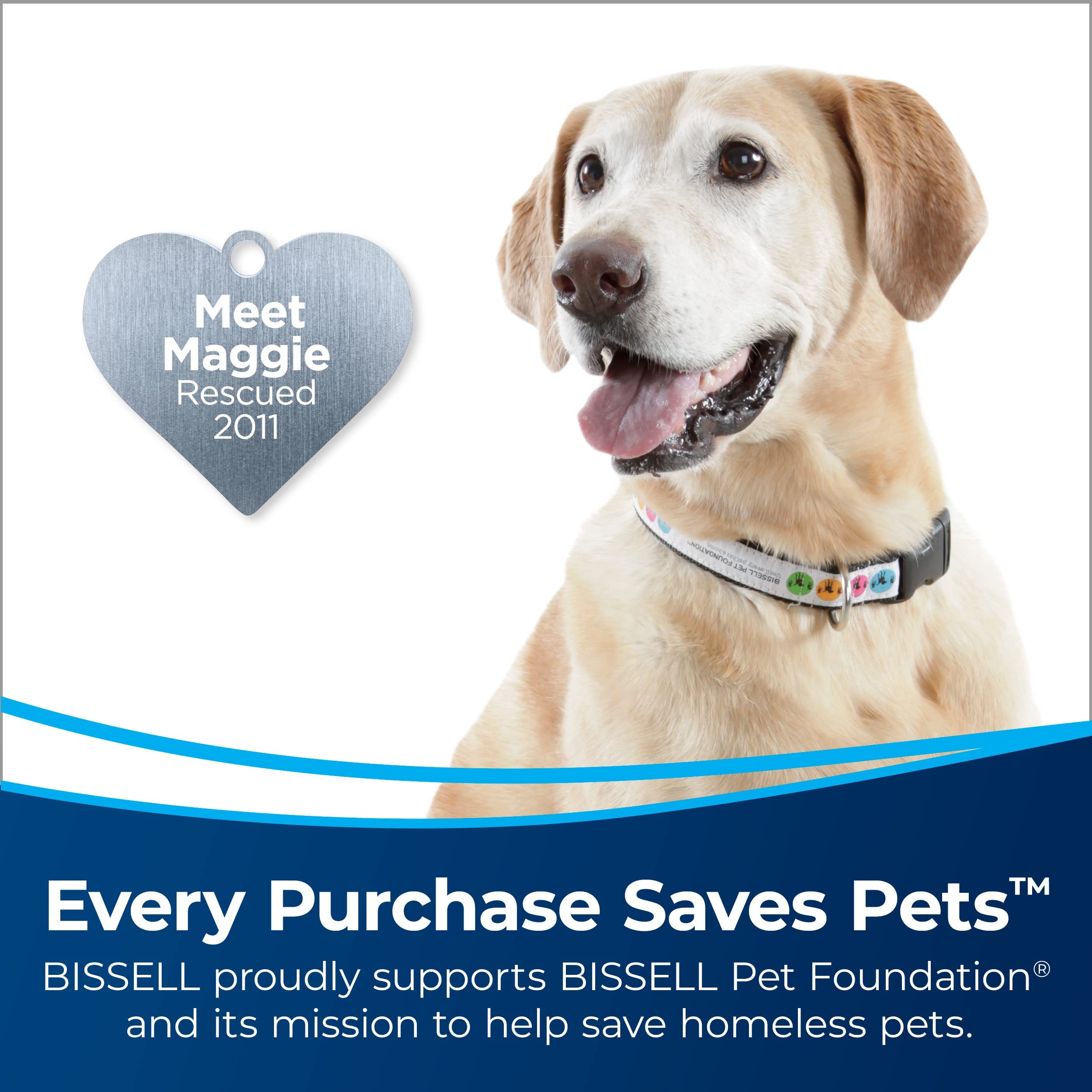 Bissell CleanView with active extension wand reaches high corners and under furniture for hard-to-reach messes.