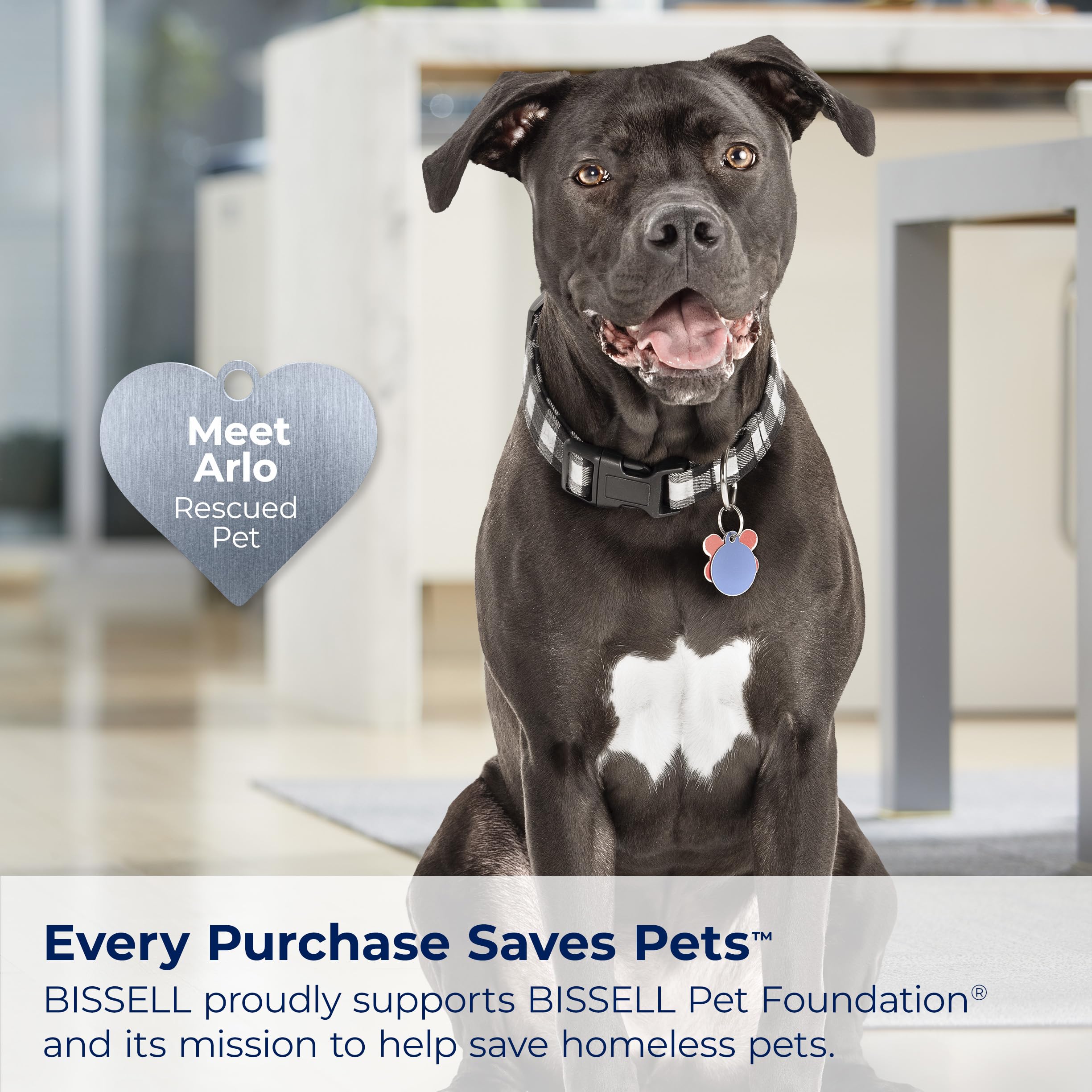 Bissell CleanView Compact Turbo supports BISSELL Pet Foundation with every purchase.