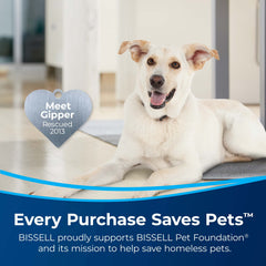 Bissell Deep Clean antibacterial formula on carpet demonstrating deep cleaning capability