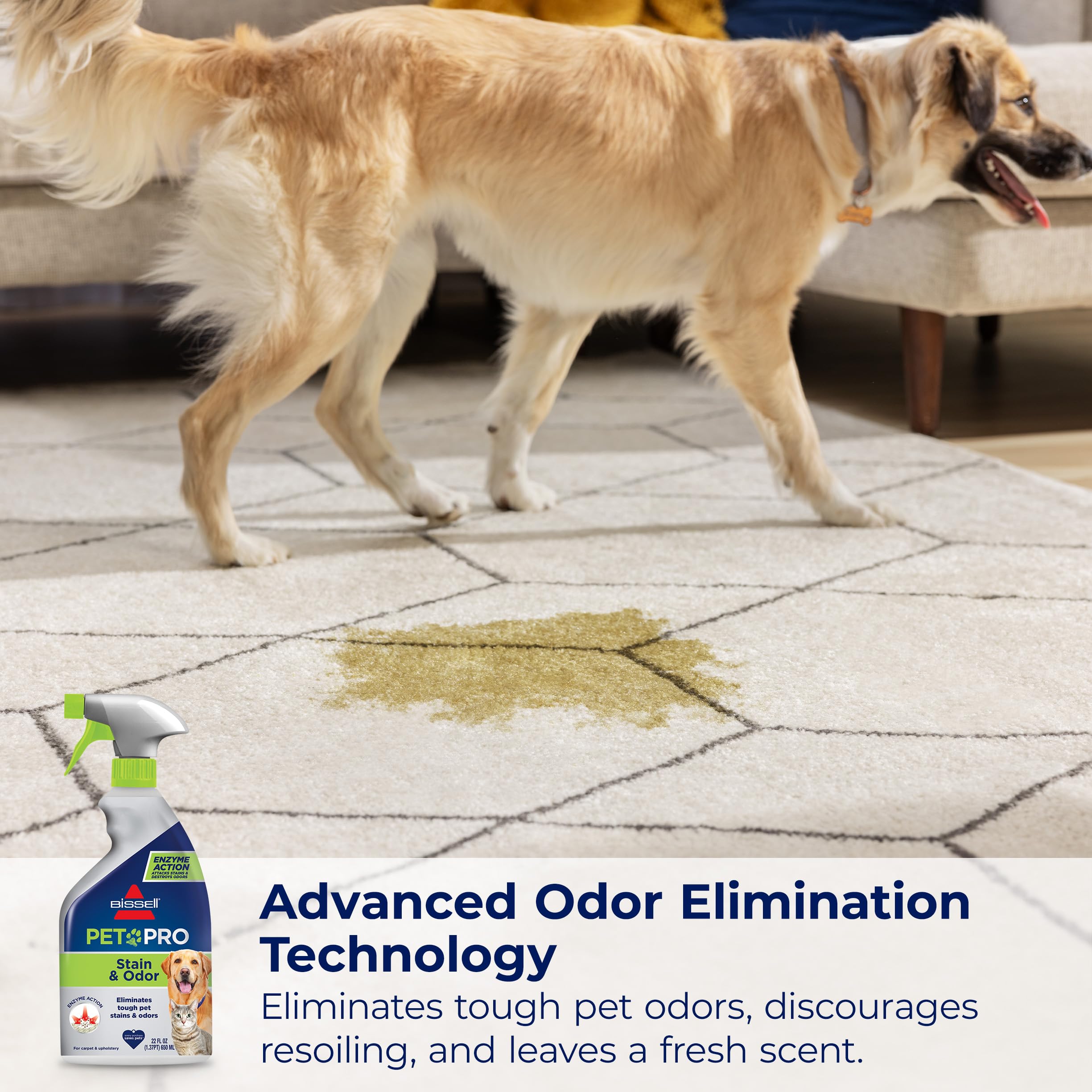Bissell Pet Pro 2-pack demonstrates safe use on carpet and upholstery surfaces