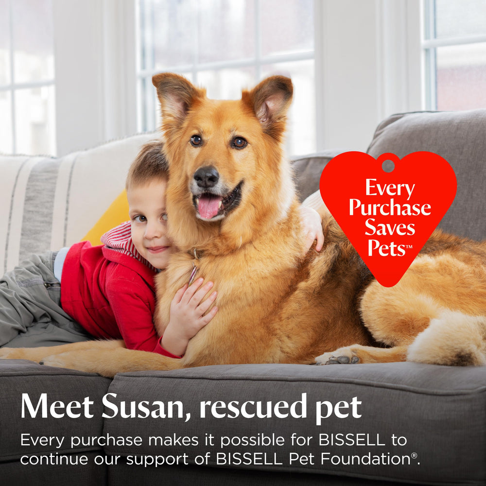 Bissell rug-refreshing cleaning helps area rugs look revived.