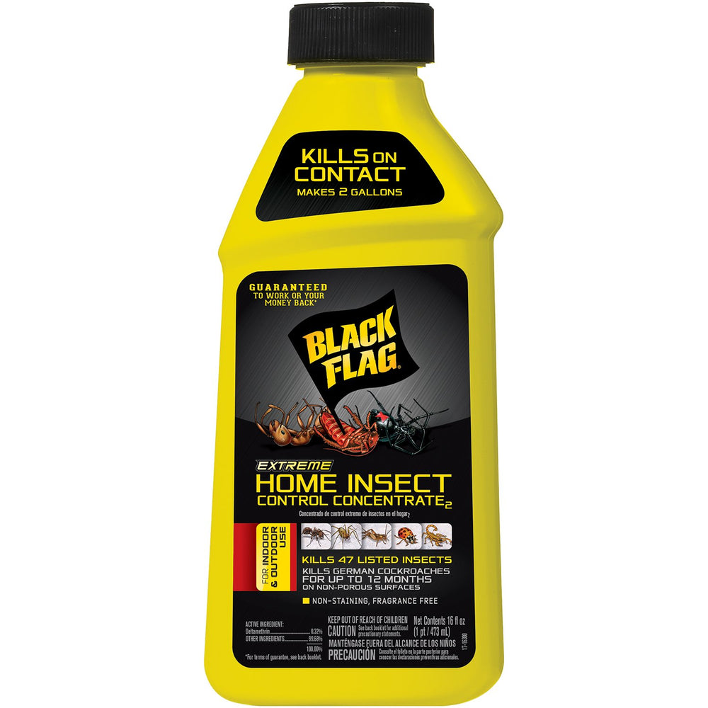 Black Flag Extreme Home Insect Control concentrate bottle front for indoor and outdoor use.