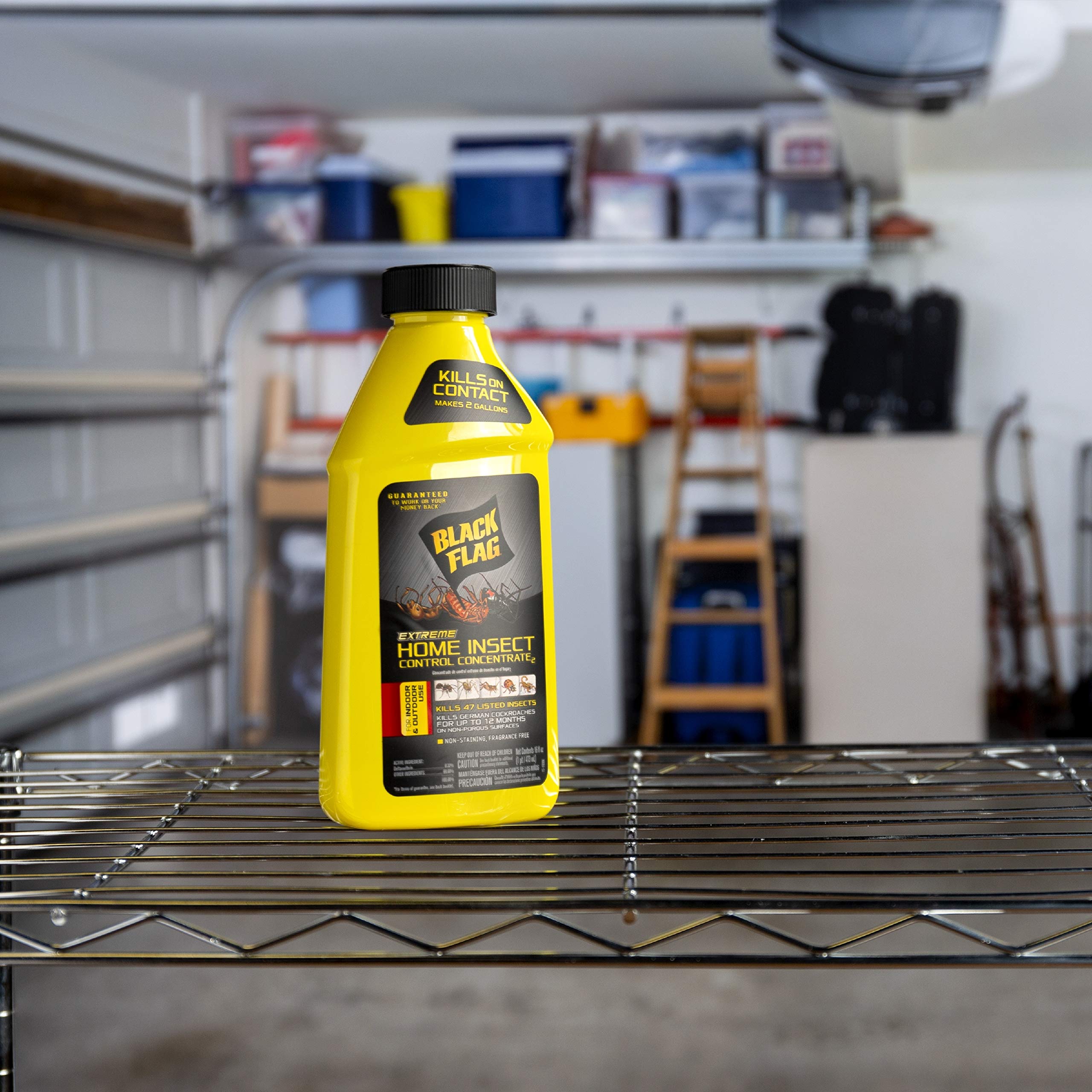 Kitchen and bathroom application areas with Black Flag Extreme for indoor pest control.