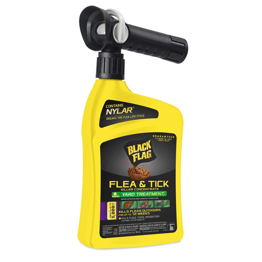 Black Flag flea killer concentrate bottle poured for yard treatment covering up to 5,000 sq ft.