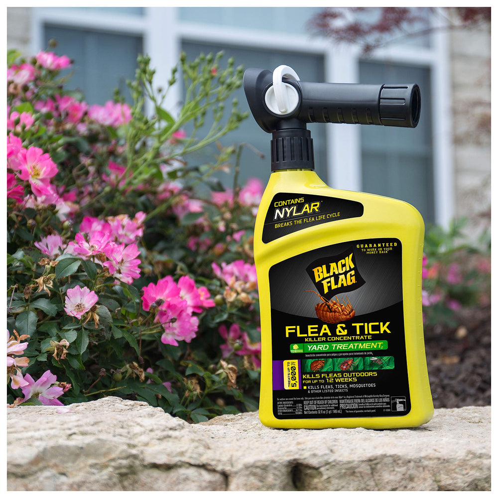 Black Flag outdoor fleas killed for up to 12 weeks after treatment.