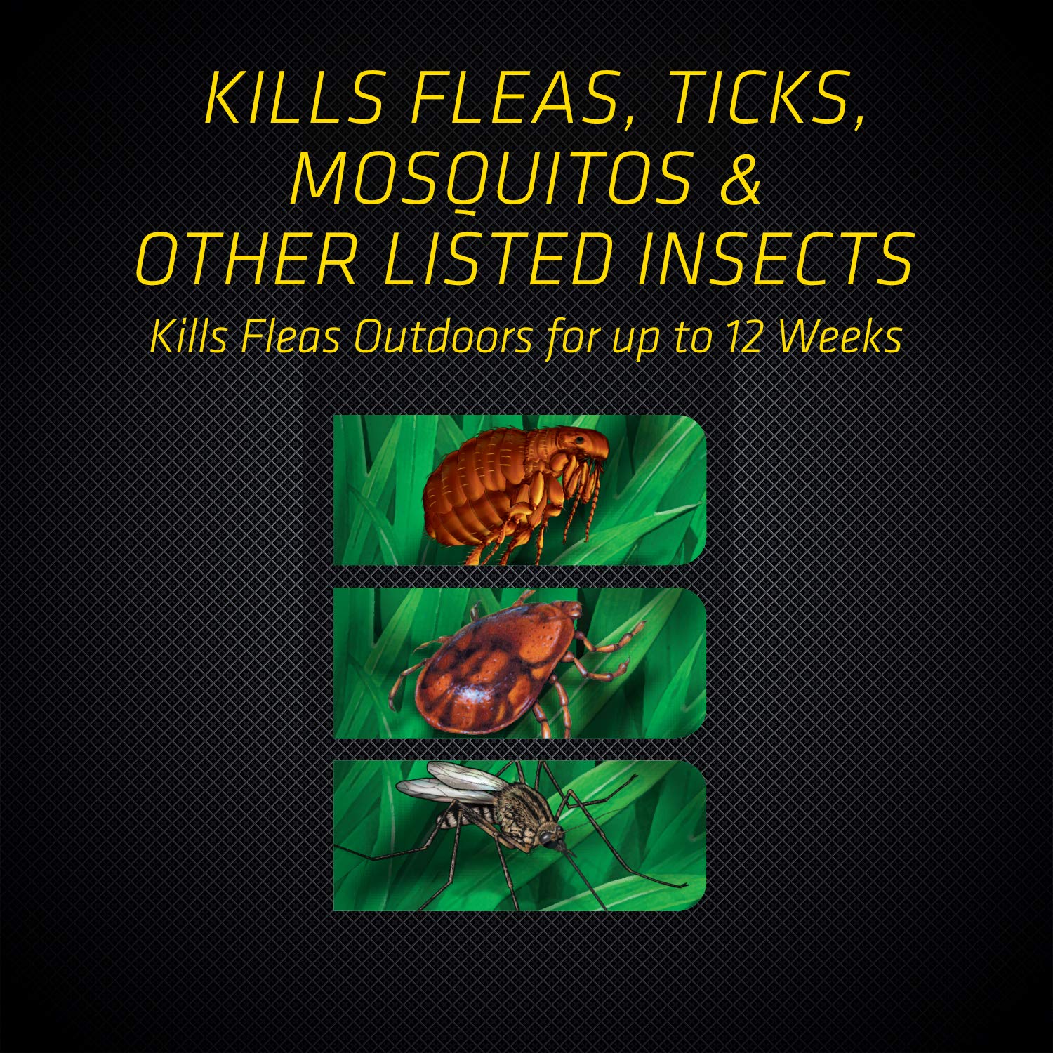 Black Flag kills fleas, ticks, and mosquitoes outdoors.