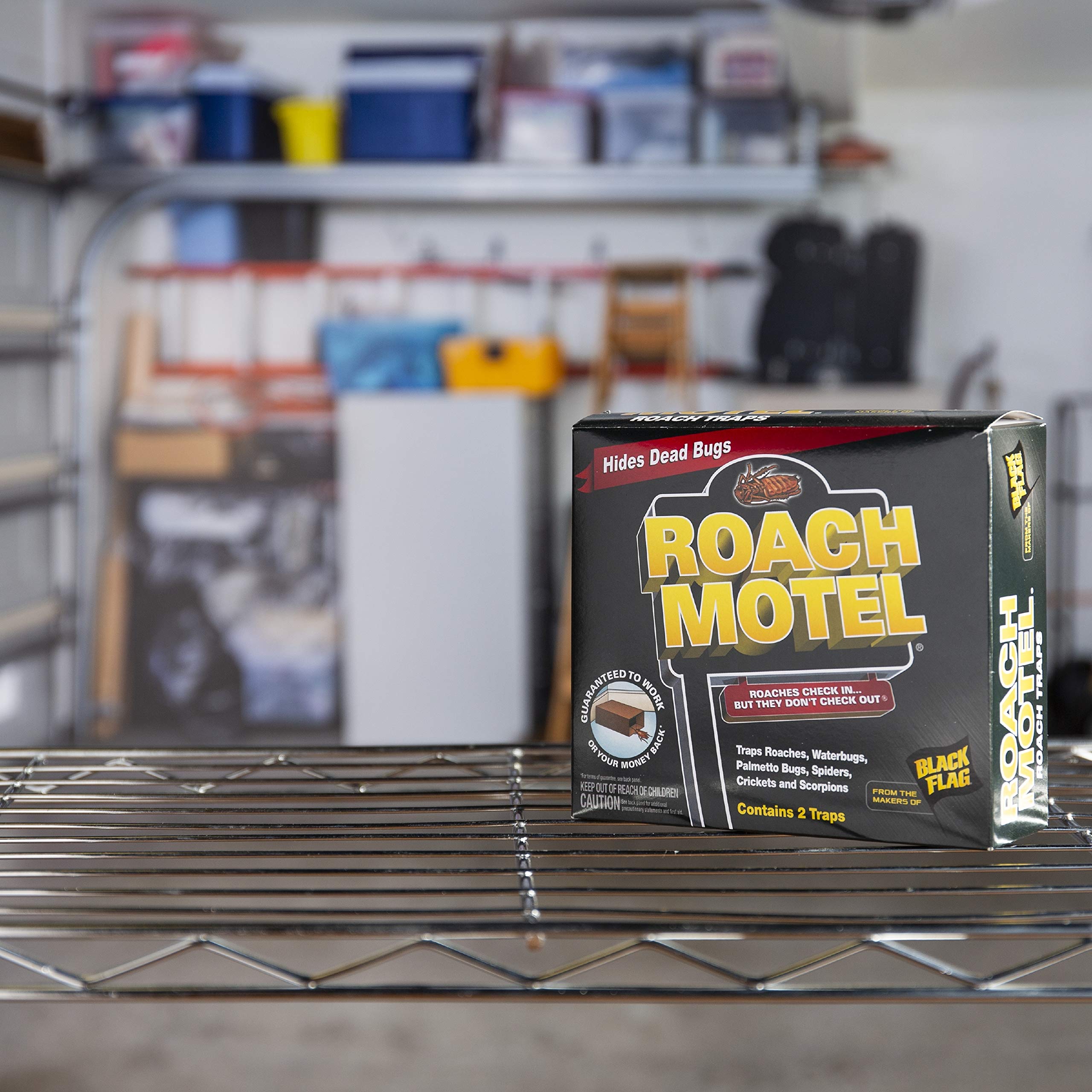 Behind an appliance placement keeps traps unobtrusive in busy kitchens.
