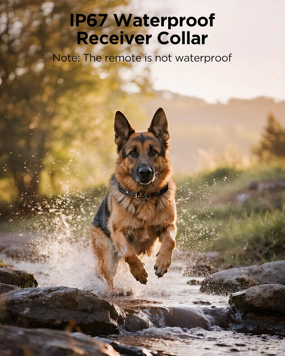 Blackdog IP67 waterproof rating ensures performance in rain, mud, or shallow water.
