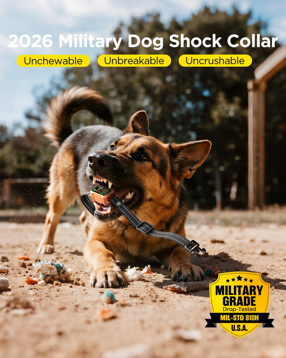 Blackdog shock collar with remote flashlight and collar strobe enhances night visibility.