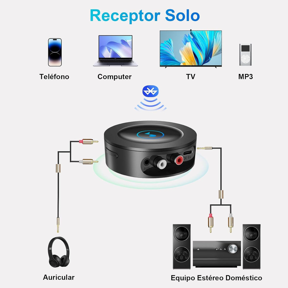 BLACKHORSE Bluetooth 5.2 receiver ports highlighting RCA and 3.5 mm outputs
