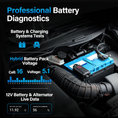 BLCKTEC 460T AutoVIN auto-detect speeds vehicle setup