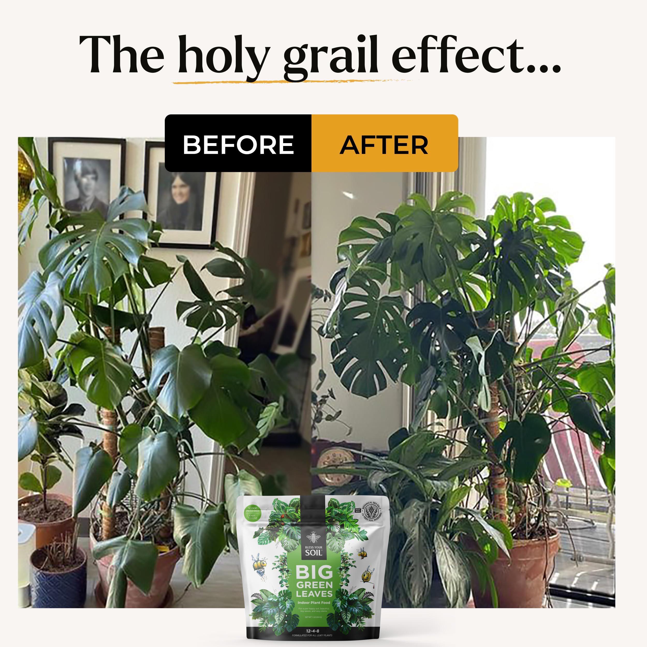 BLESS YOUR SOIL 4x concentrated powder delivers up to 90 gallons.
