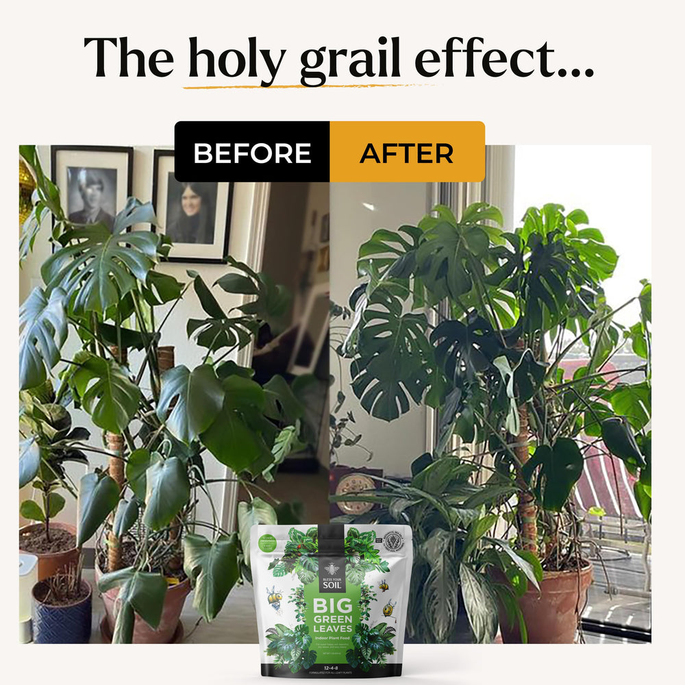 BLESS YOUR SOIL 4x concentrated powder delivers up to 90 gallons.
