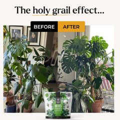 BLESS YOUR SOIL 4x concentrated powder delivers up to 90 gallons.