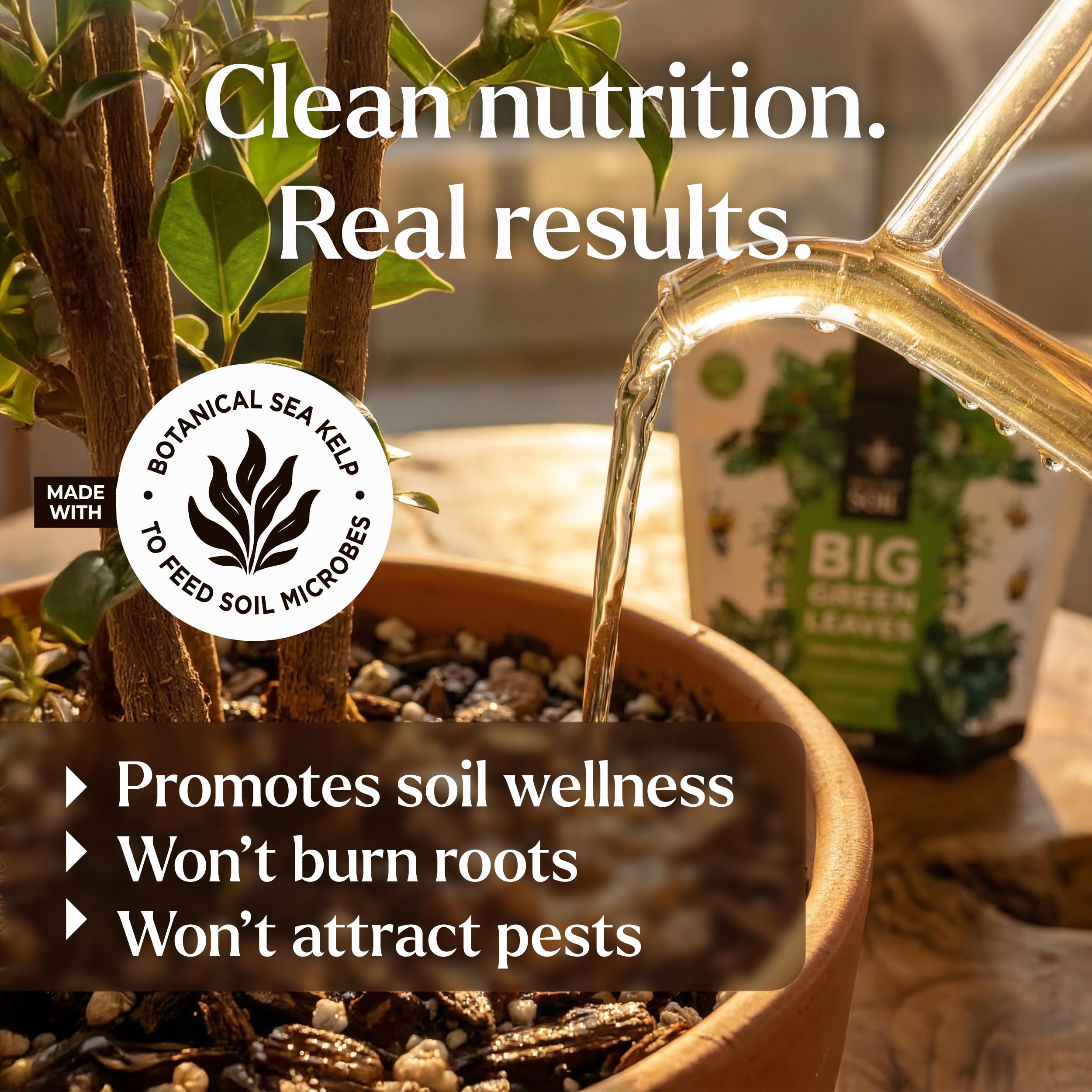 BLESS YOUR SOIL applying as soil drench or foliar feed for versatility.