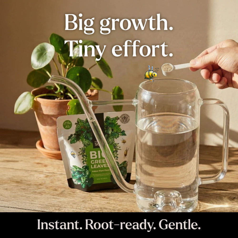BLESS YOUR SOIL measuring scoop for precise 1–2 tsp per gallon feeding.