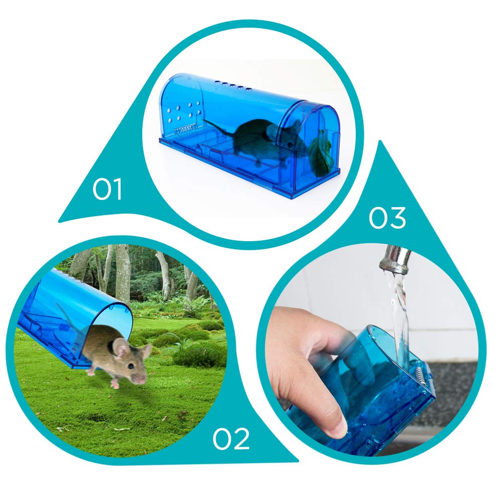 Blinc catch-and-release mechanism close-up, no handling required for safe outdoor release.