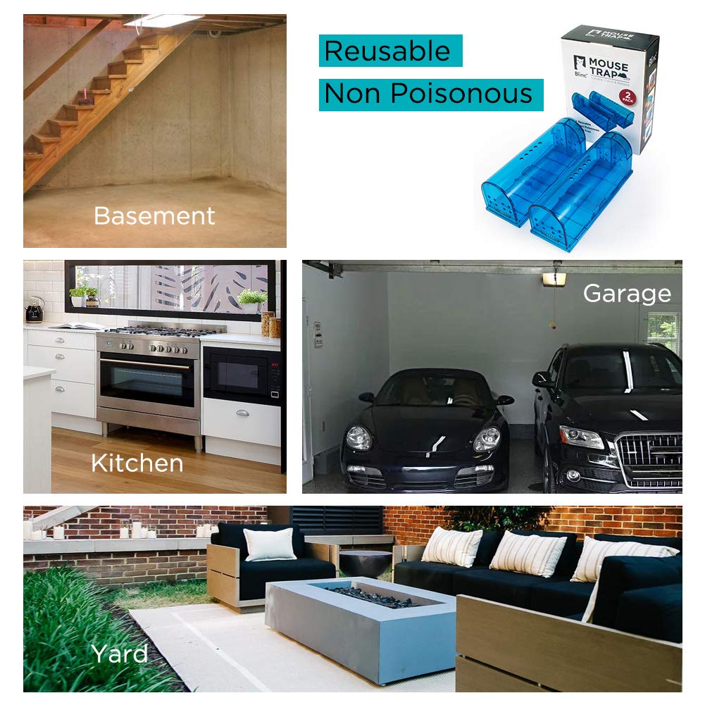 Blinc reusable ABS plastic construction offers longevity and eco-friendly use.