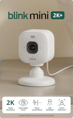 Blink Mini 2K+ included accessories: mounting kit and power cable.