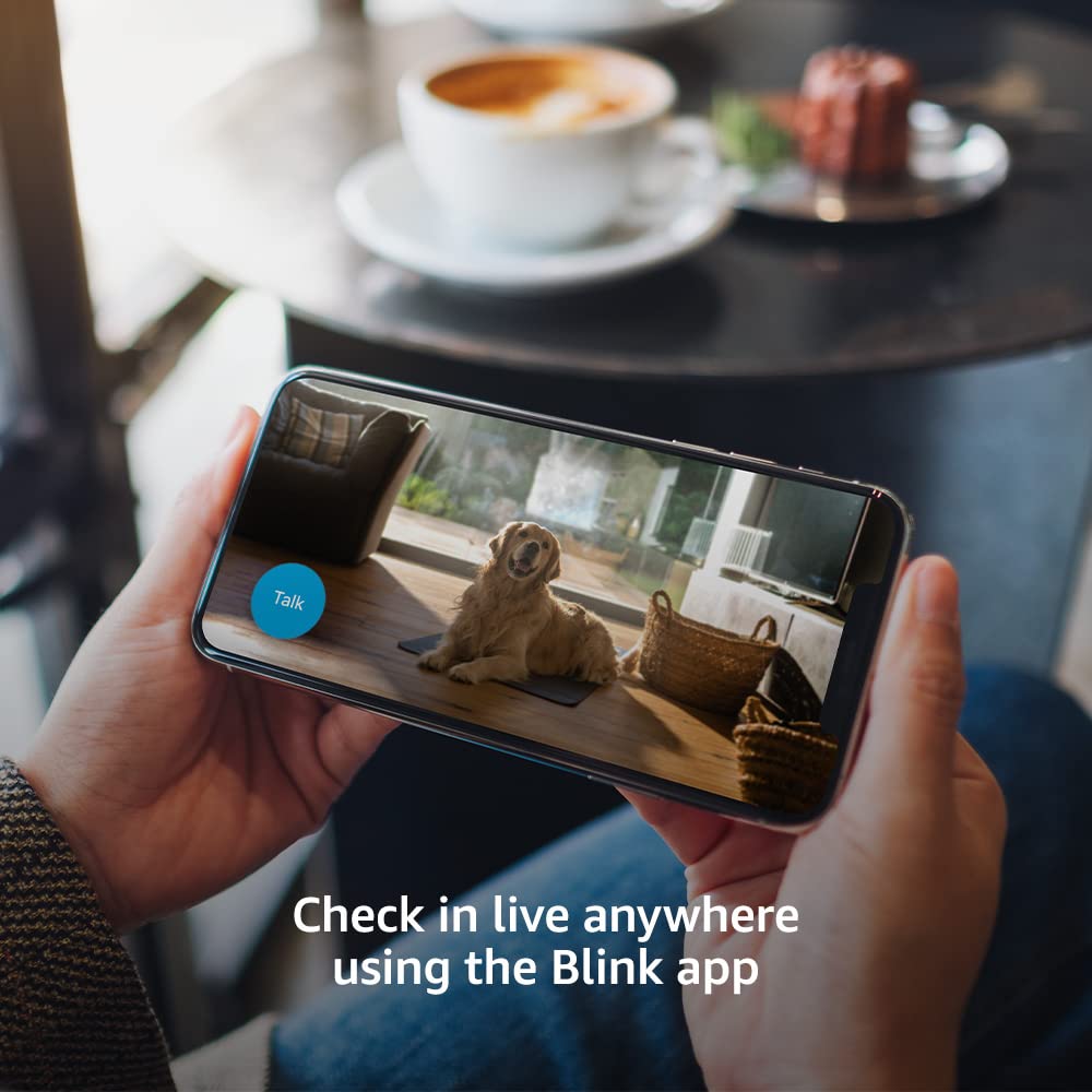 Blink Mini motion detection alerts keep you aware of activity.