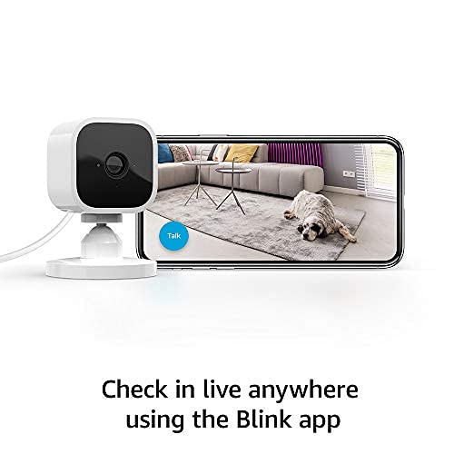 Blink Mini motion detection sends alerts to your phone in real time.