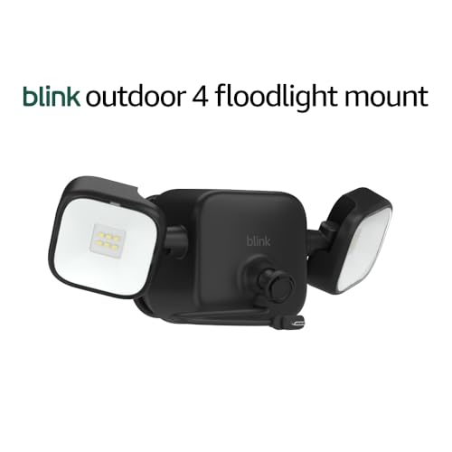 Blink with Alexa control enables hands-free lighting and camera integration.