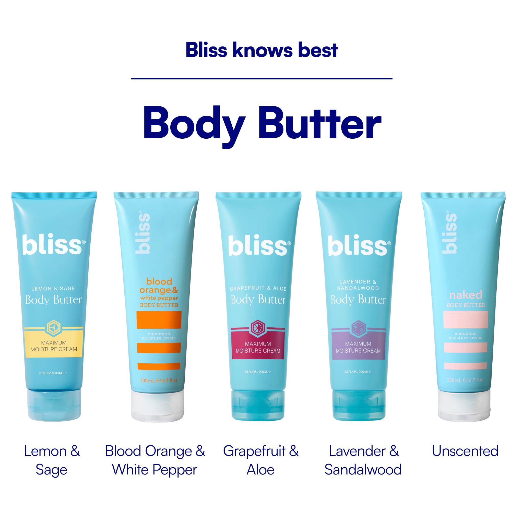 Bliss Grapefruit and Aloe Body Butter shea detail zoom conveys rich moisture content.