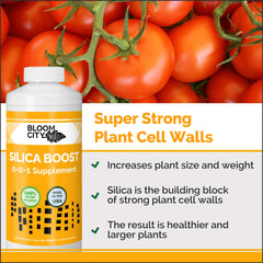 Bloom City Liquid Silica Boost pouring action demonstrates easy application for efficient dosing.