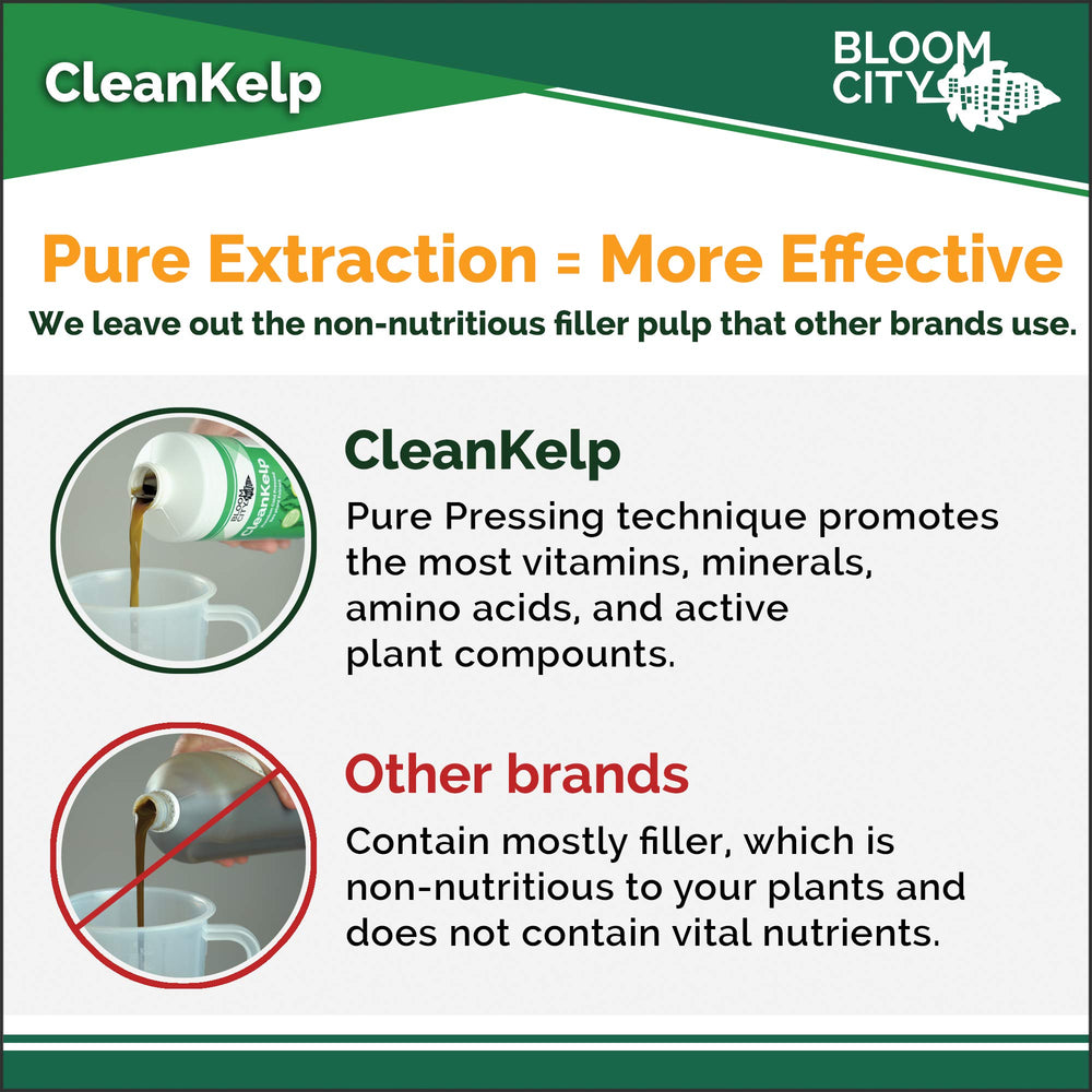 Houseplants benefiting from Bloom City seaweed and kelp fertilizer nutrition.