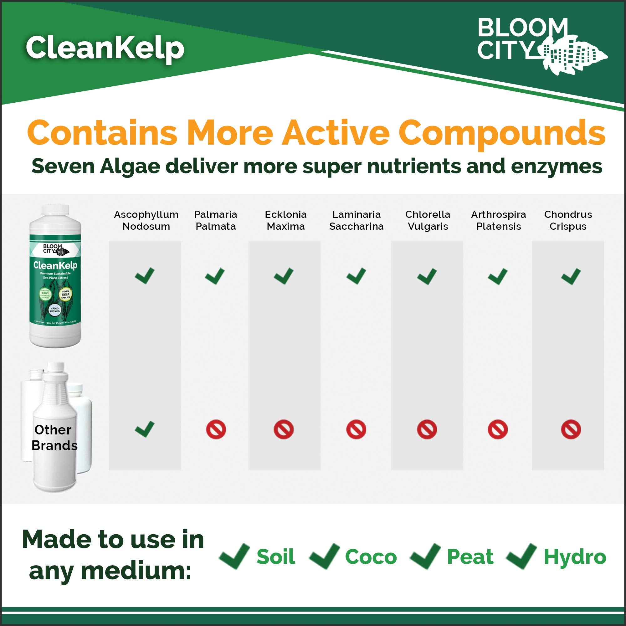 Lawn application scene with Bloom City seaweed and kelp fertilizer for greener turf.