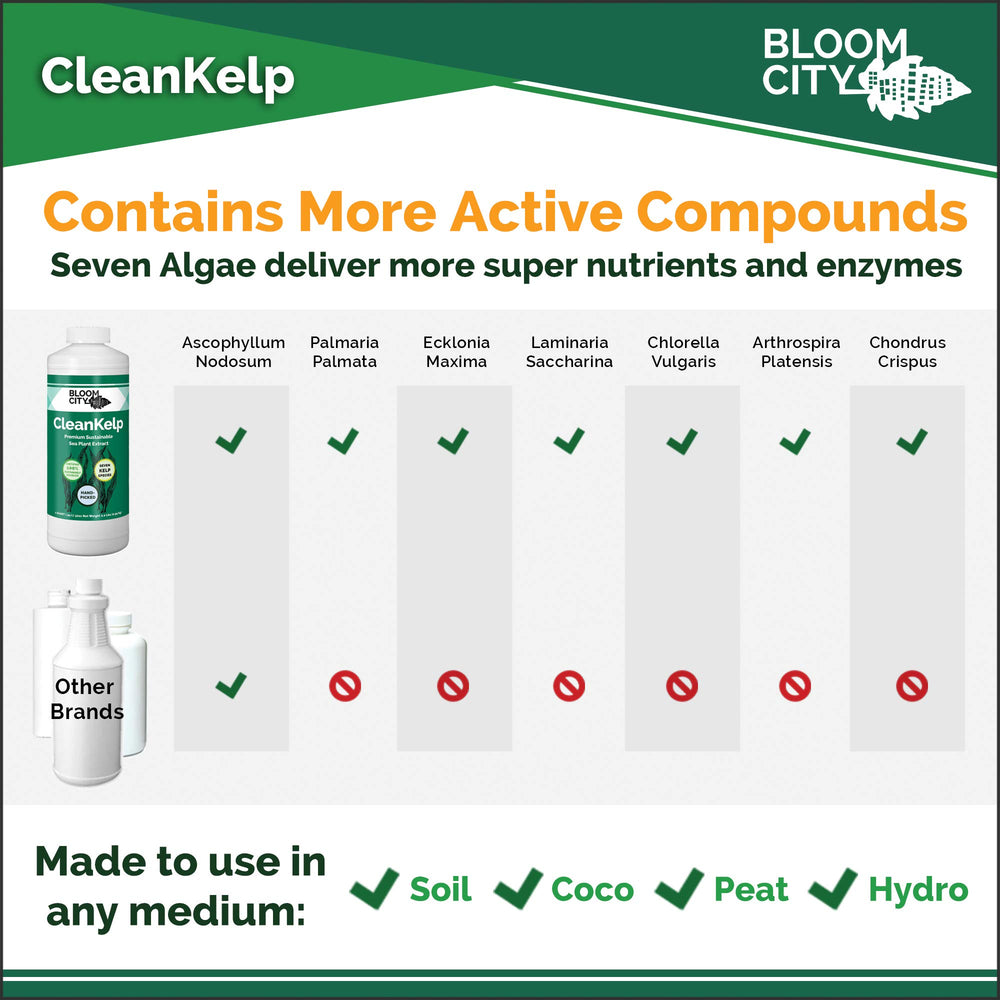 Lawn application scene with Bloom City seaweed and kelp fertilizer for greener turf.