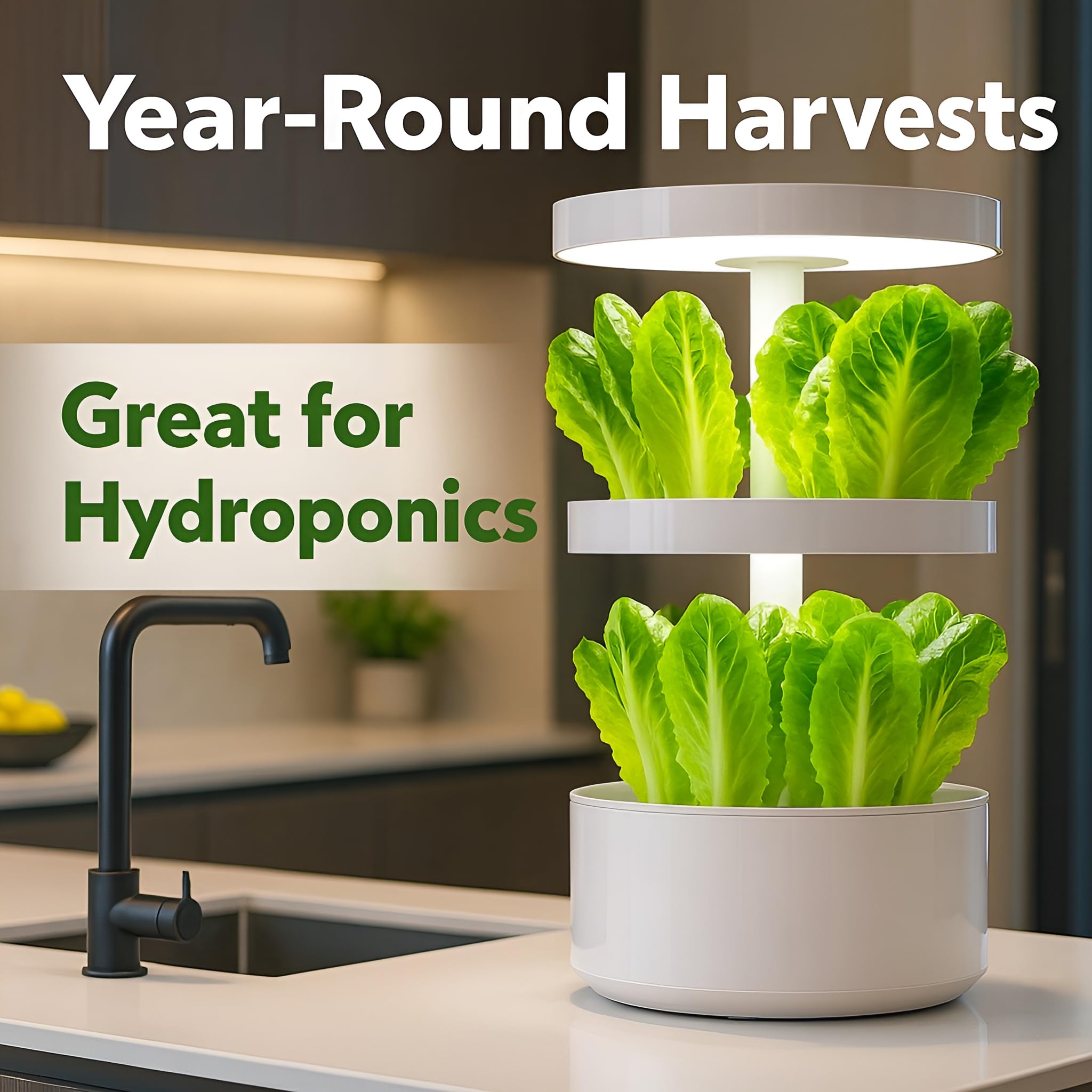 Bloomtiva romaine lettuce with crunchy midribs for salads