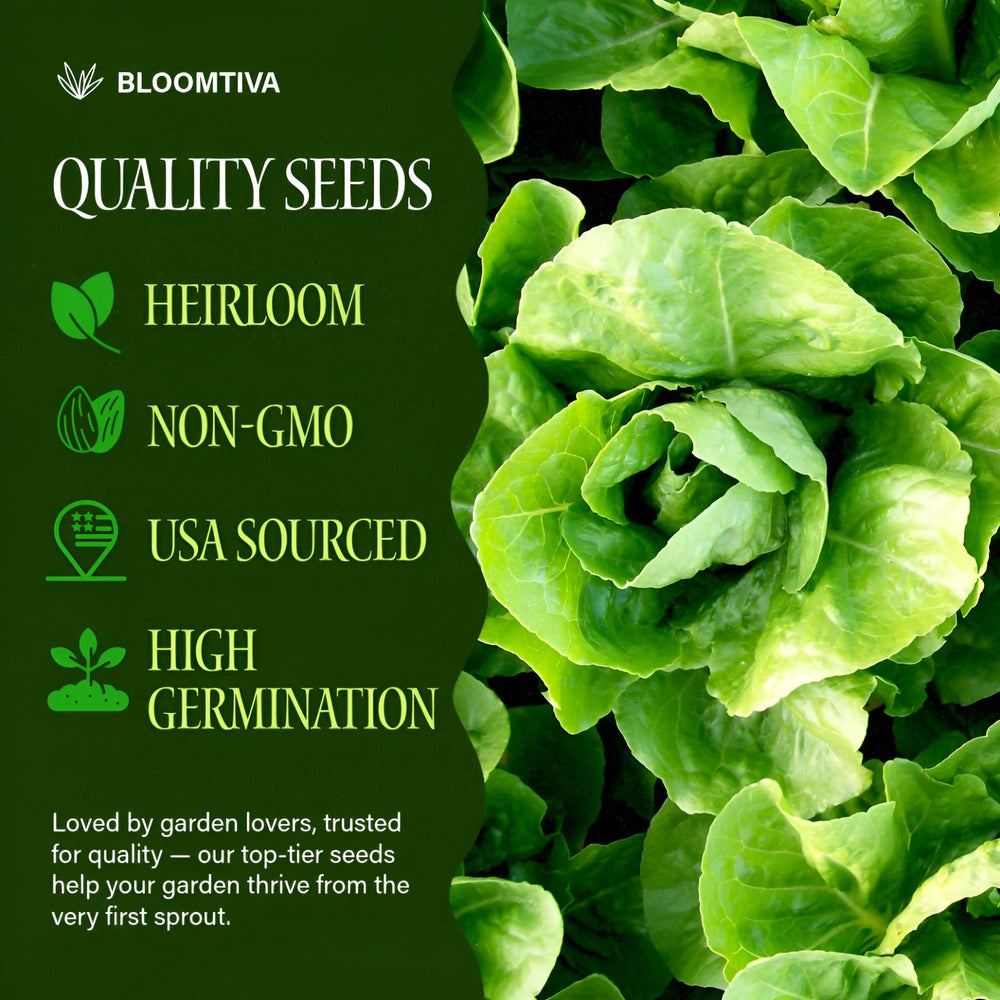Bloomtiva Parris Island Cos seeds offer high germination for reliable sprouts